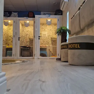 Hepsi Patime Cat's Hotel misafiri