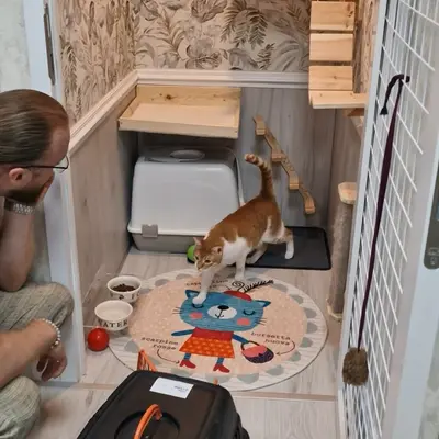 Hepsi Patime Cat's Hotel misafiri